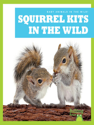 cover image of Squirrel Kits in the Wild